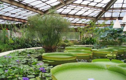 Here are the different designs of the greenhouse Here are the different designs of the greenhouse